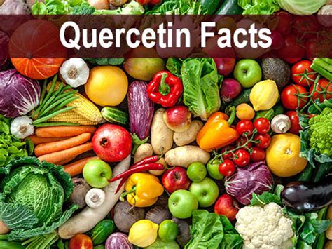 Quercetin Facts