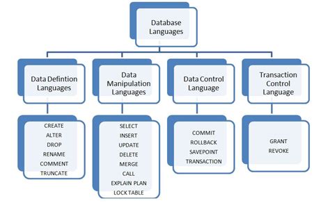 query language meaning in dbms