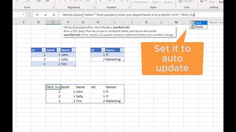query meaning excel