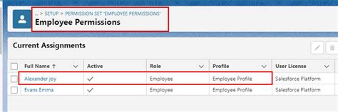 query permission set in apex