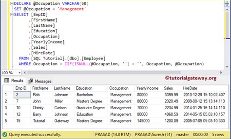 query setparameter null value