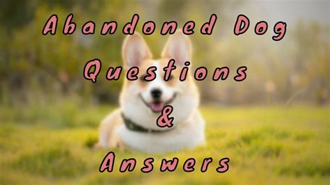 Abandoned Questions