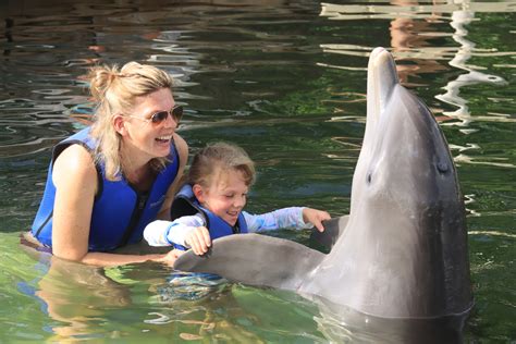 Questions about dolphin encounter