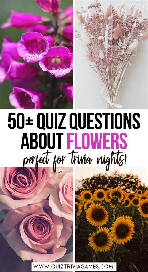 Questions About Flower