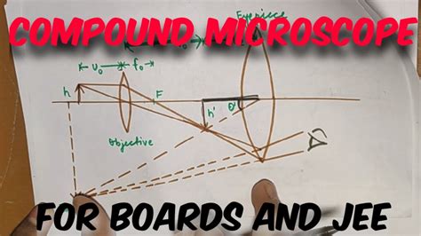 Questions On Compound Microscope Class 12