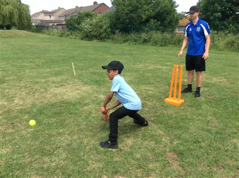 Quick As A Cricket