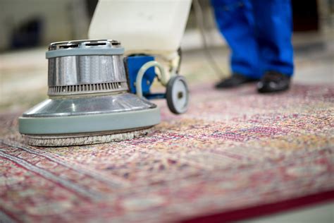 quick carpet cleaning service