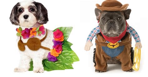 Quick Dog Costume Ideas