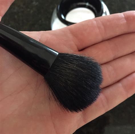 Quickly Dry Makeup Brushes