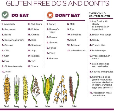 Quinoa Allergy Wheat