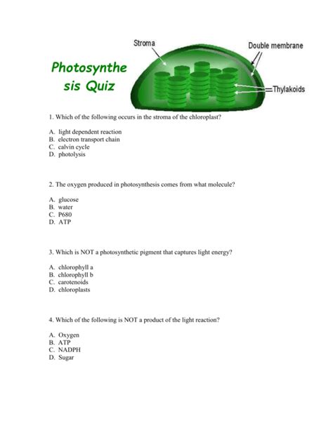 Quiz For Photosynthesis