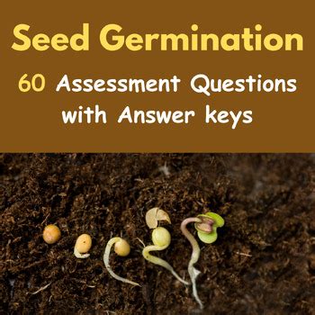 Quiz About Germination