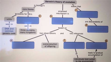 Quizlet Darwin's Theory