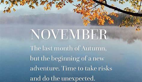 PicLab™ on Instagram: “A new month, a new chapter. Hello, November