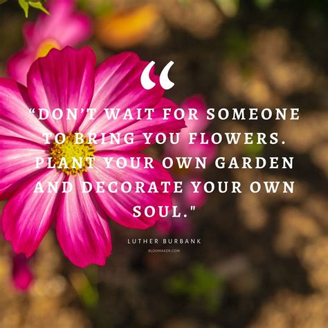 Quote About Flowers Growing