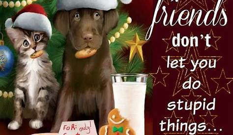 Quotes About Friendship And Christmas Wishes For Your Best Friend Specials 2021