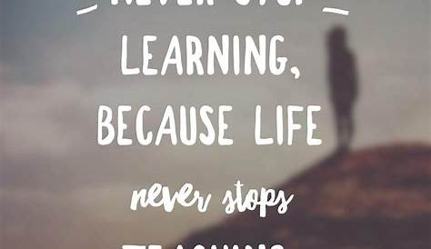 Never Stop | Never stop learning quotes, Learning quotes, Learning