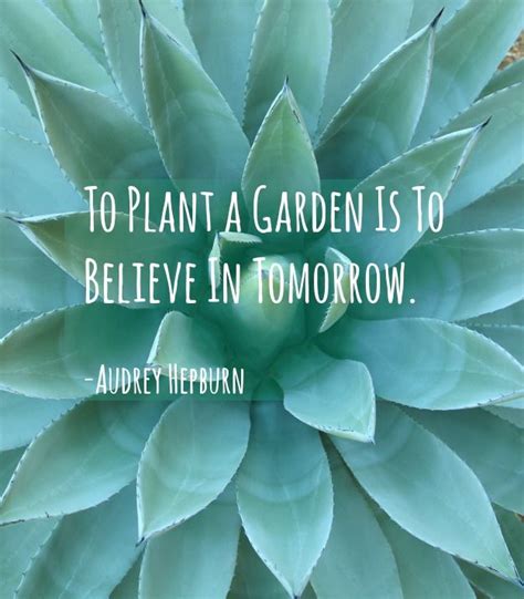 Quotes About Plants In 2023: Celebrating The Beauty Of Nature