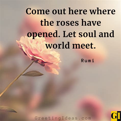 Quotes About Receiving Roses
