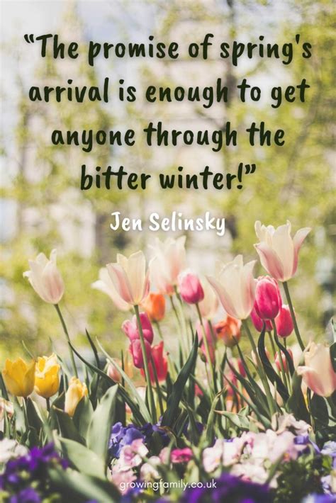 Quotes About Spring Mornings