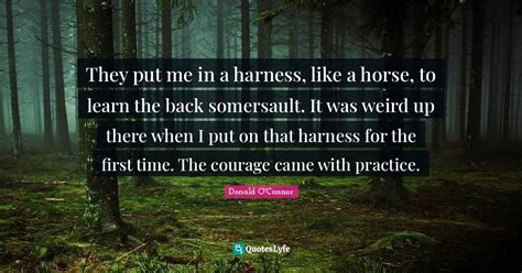 Quotes By Harness