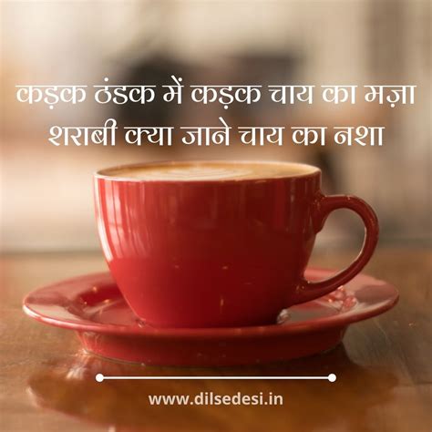 quotes for tea lovers in hindi