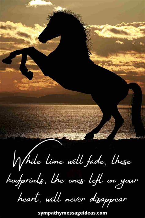 quotes for the loss of a horse