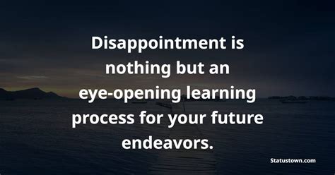Quotes on Learning from Disappointment