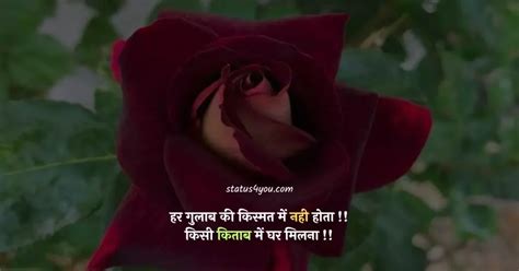 quotes on rose flower in hindi