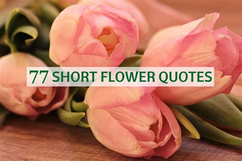 Quotes Referencing Flowers