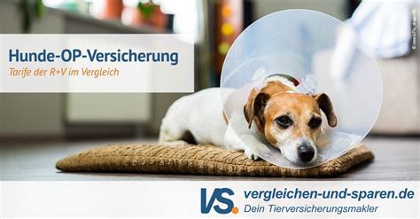 HundehalterHaftpflichtversicherung VR Bank in Holstein eG