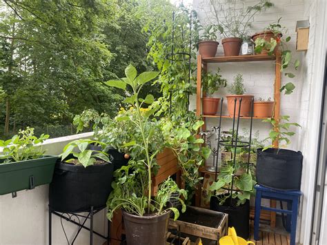 r/UrbanGardening
