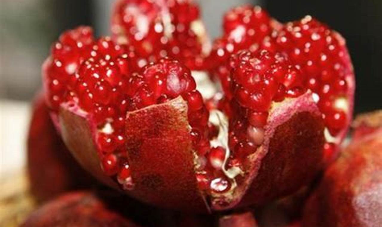 Pomegranate Dreams Unveiled: Extraordinary Insights Into "Ryada Nar Ayklamak"