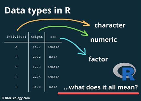 R Data Types Numbers