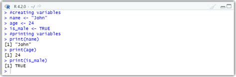 R How To Print Variable
