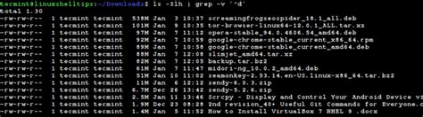 r list files exclude directories