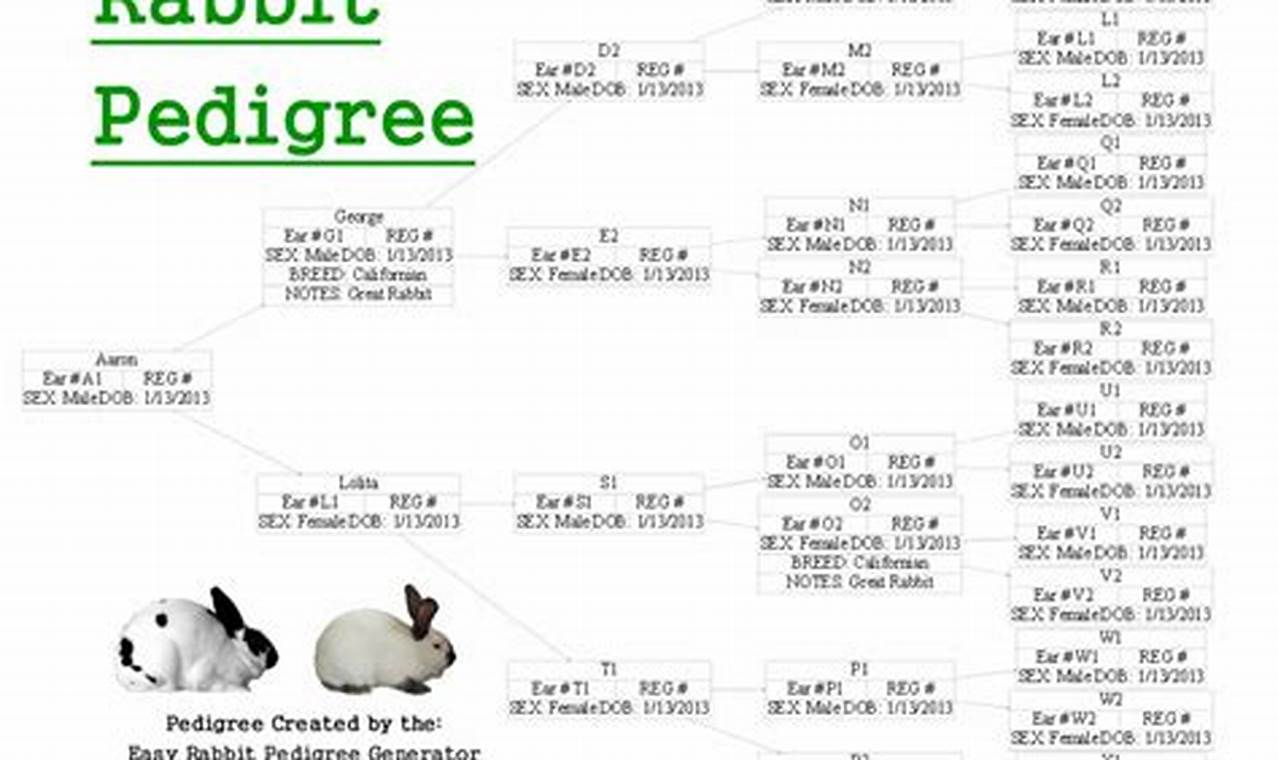 Unlock the Power of Rabbit Pedigree Software: A Comprehensive Guide for Breeders