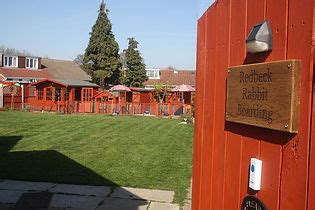 Rabbit Boarding Bradford