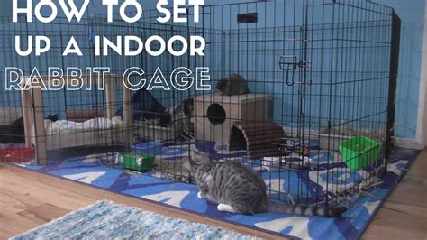 Rabbit Cage Setup Youtube