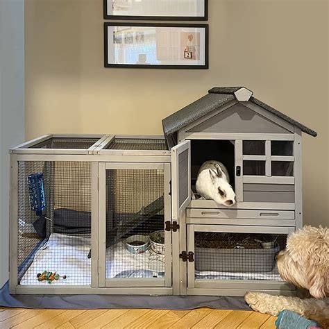 Rabbit Cage Under 1000