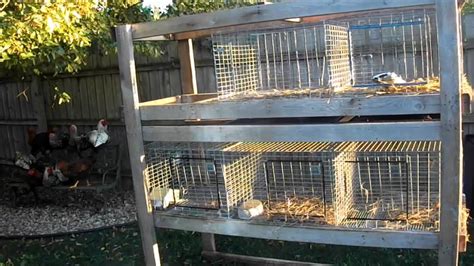 Rabbit Cages Craigslist