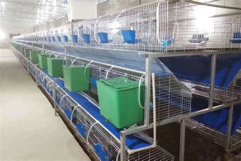 Rabbit Cages For Breeding