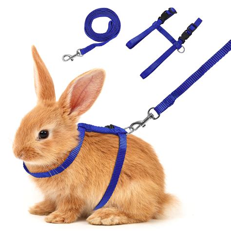 Rabbit Dog Leash