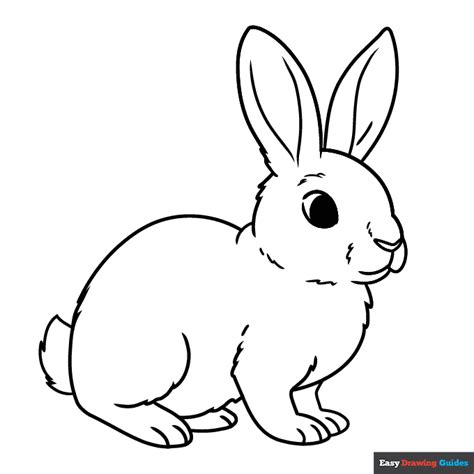 Rabbit Drawing And Coloring