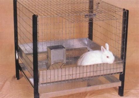 rabbit equipment supply companies