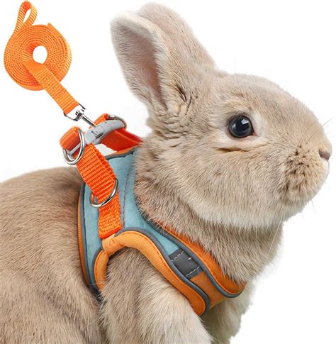 Rabbit Harness Pet Valu