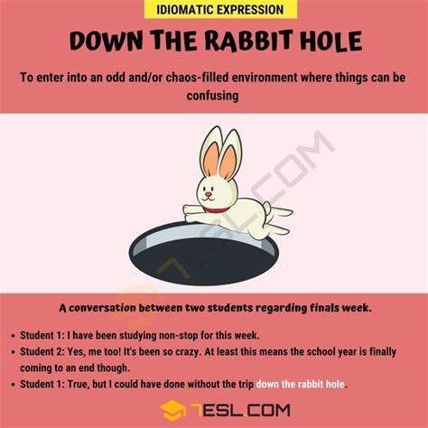 rabbit holes to go down reddit