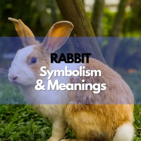 Rabbit Is Good Rabbit Is Wise Meaning
