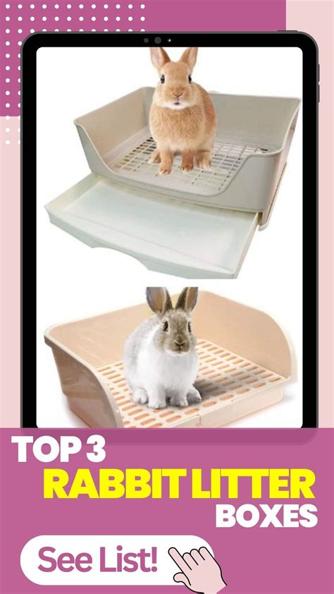 Rabbit Litter Box Alternative