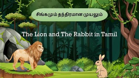 Rabbit Meaning Tamil Language